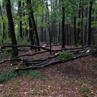 20112308130827-511.jpg